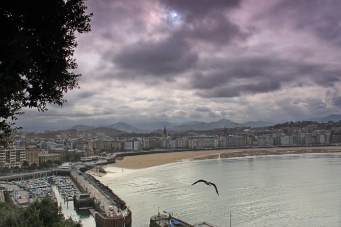 Paisaje con gaviota.: foto en Donostia-San Sebastián