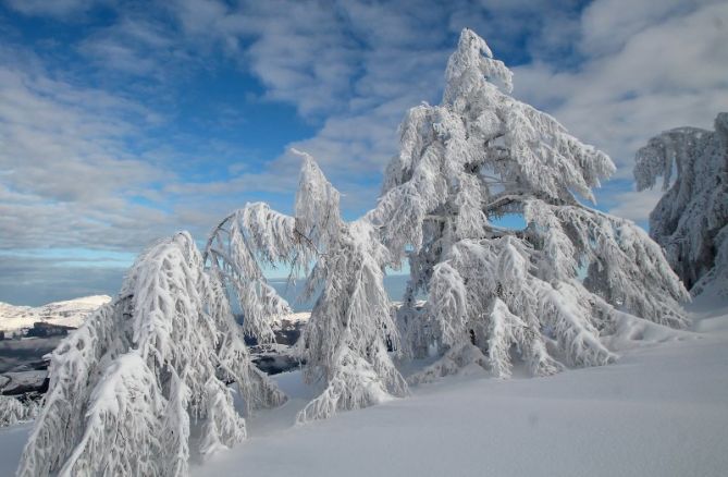 Paisaje helador: foto en Zumarraga