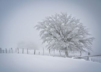 Paisaje helador