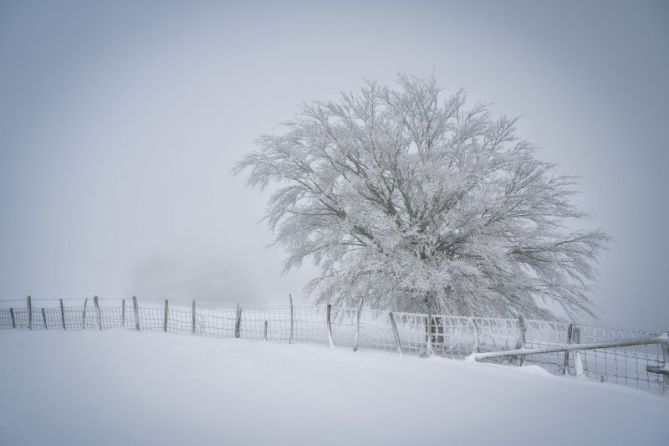 Paisaje helador: foto en Zumarraga