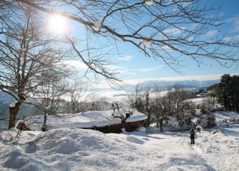 Paisaje nevado