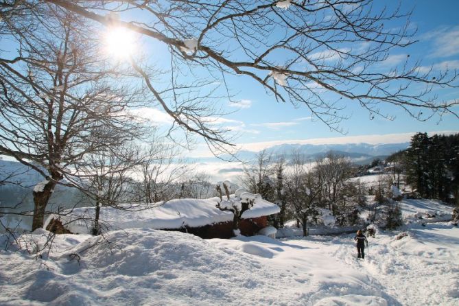 Paisaje nevado: foto en Zumarraga