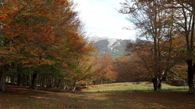 Paleta de otoño: foto en Zegama