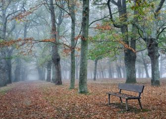 Parque de san Martin