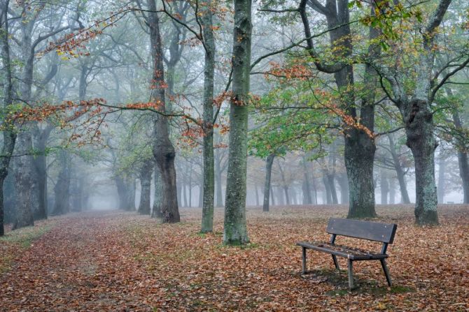 Parque de san Martin: foto en Oñati