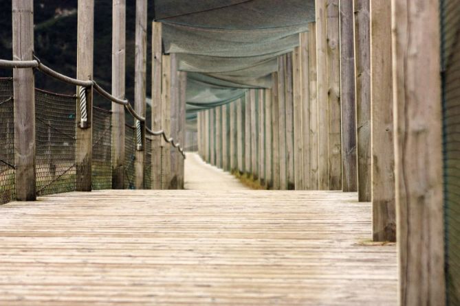 Pasarela de Iñurritza: foto en Zarautz