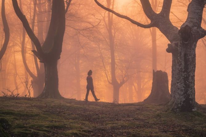 Paseando entre magia: foto en Oiartzun