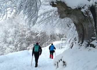 paseo invernal