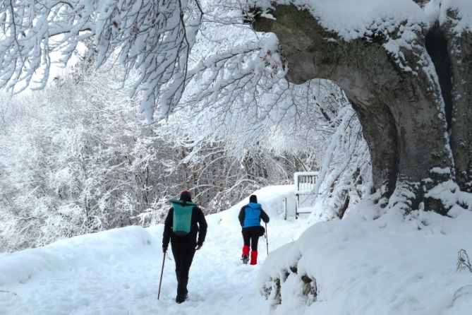 paseo invernal: foto en Beasain