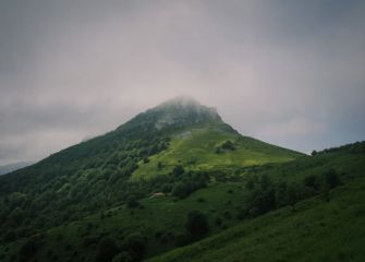 El pico se esconde