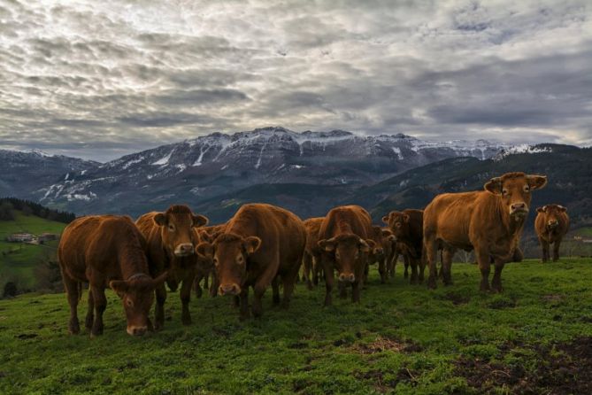 AL PIE DE LAS MONTAÑAS: foto en Zegama