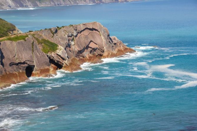 Pilatos del mar: foto en Zumaia