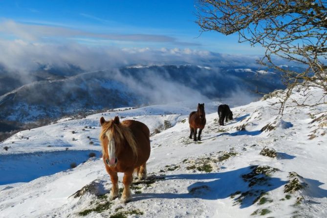 Posado invernal: foto en Ataun