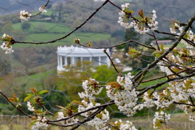 Primavera 2021 en Zarautz : foto en Zarautz