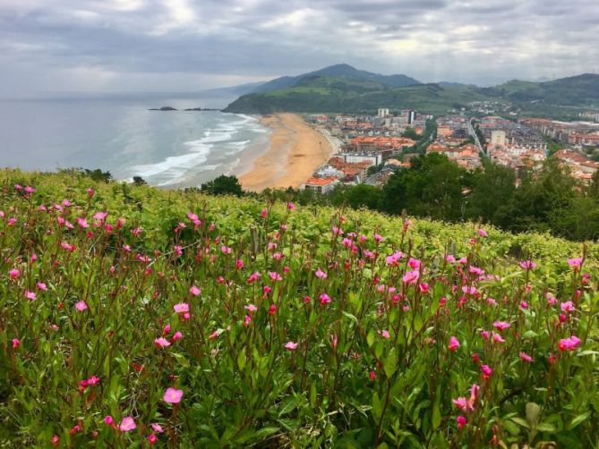 Primavera en Zarautz : foto en Zarautz