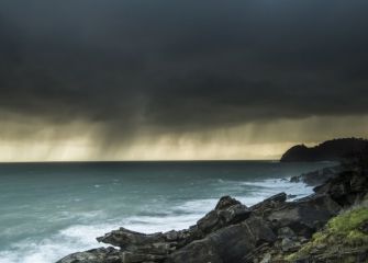 RATON DE GETARIA BAJO LA TORMENTA