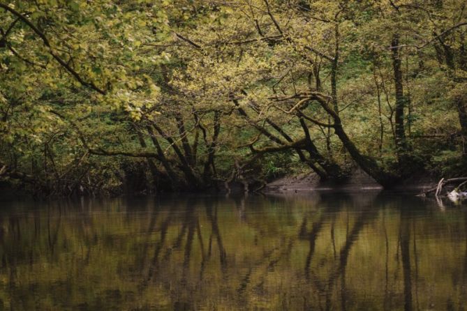 Reflejos: foto en Hernani