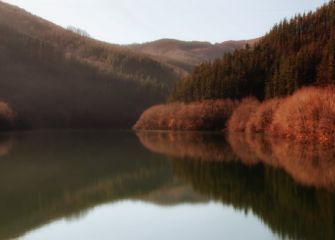 Reflejos en Nuerba