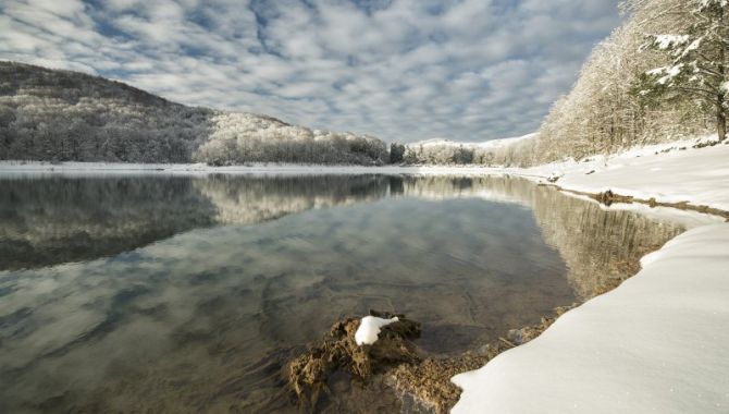 Reflejos en el pantano: foto en Ataun