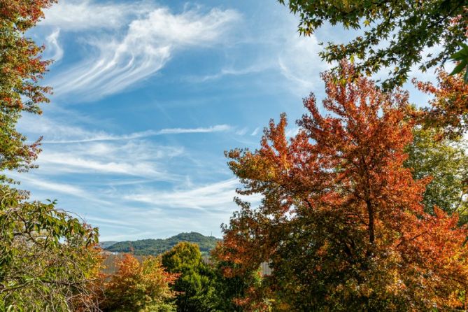 La Sargia en otoño: foto en Irun