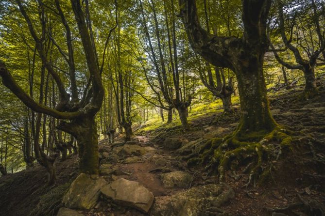 Sendero de Adarra: foto en Urnieta