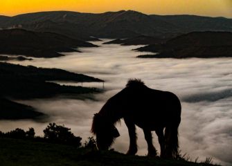 SILUETA