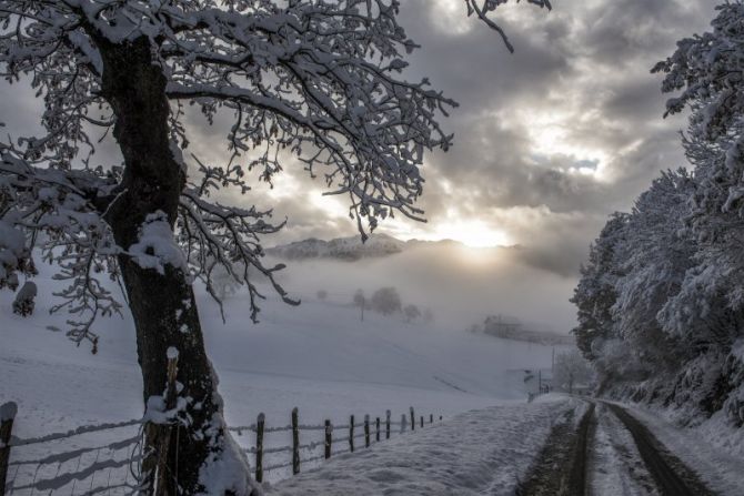 Soledad: foto en Zerain