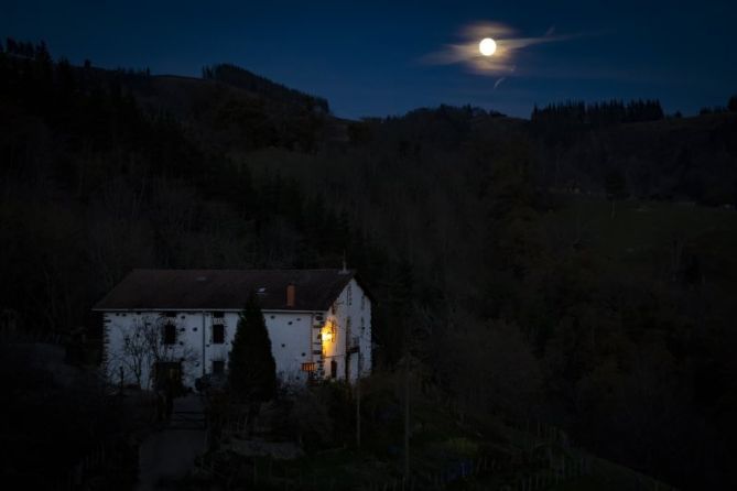 Soledad en el monte: foto en Zumarraga