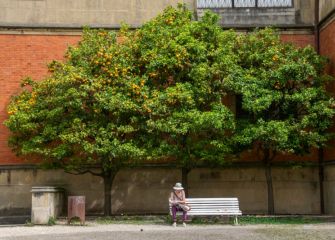 A la sombra de un naranjo