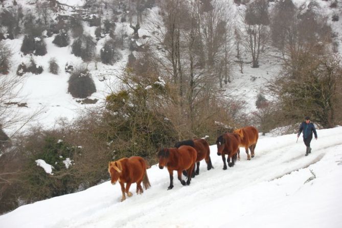 Sorprendidos en la nieve.: foto en Zegama