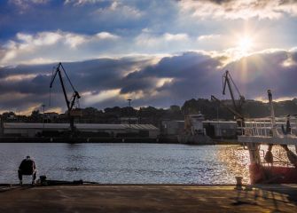 Tarde de pesca en el puerto