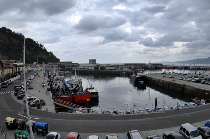 Todos a puerto: foto en Getaria