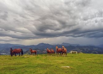 TORMENTA A LA VISTA