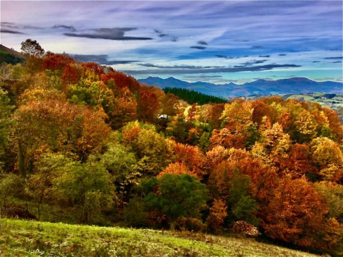 Udazken koloretan : foto en Aizarnazabal