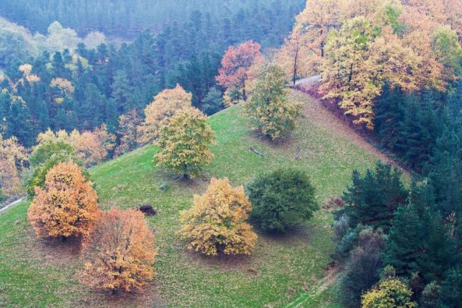 Udazkena: foto en Olaberria