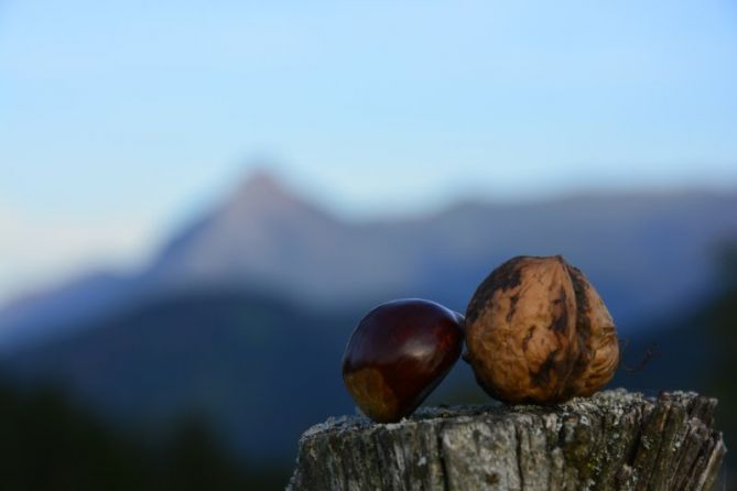 Udazkena goierrin: foto en Olaberria