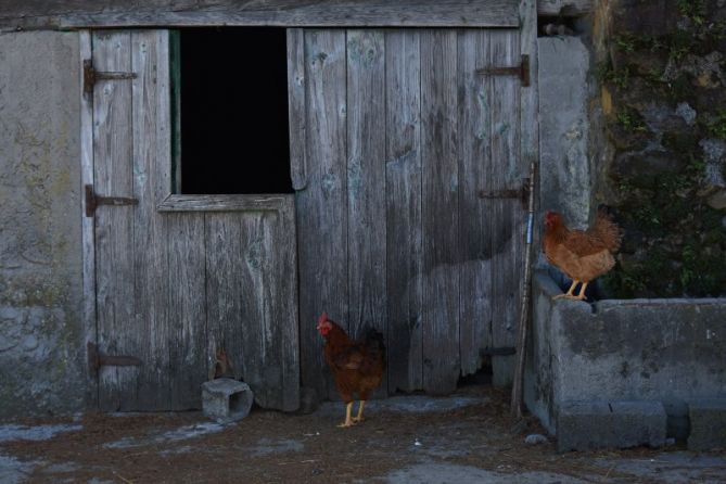 UKUILU-CUADRA: foto en Pasaia