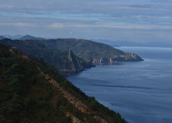 URDINA ETA VERDEA-AZUL Y VERDE