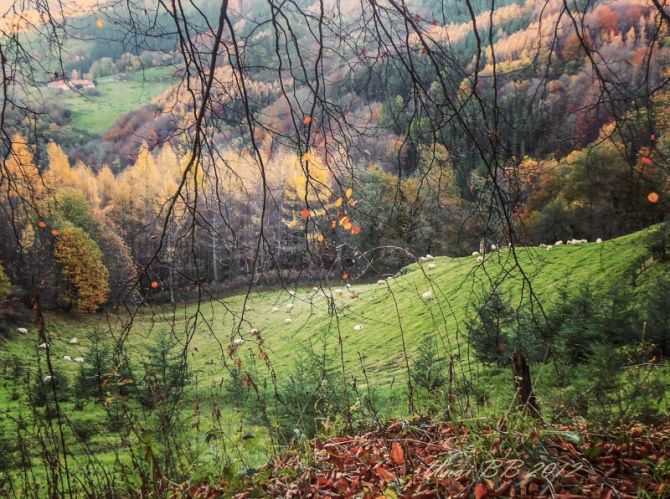 Urraki: foto en Errezil