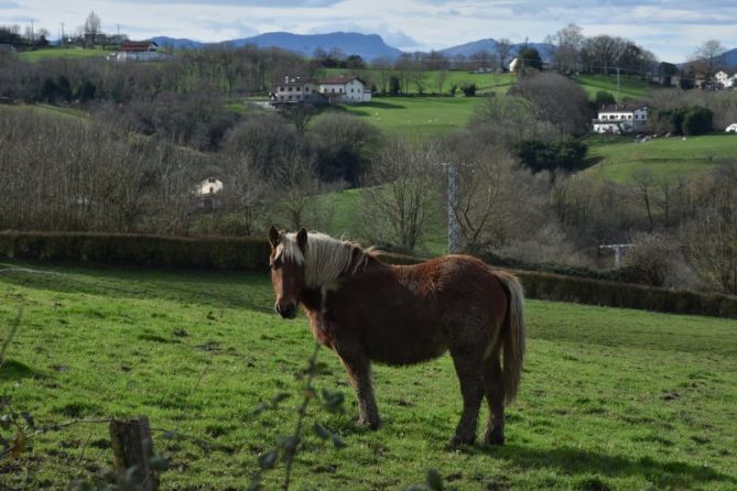 ZELAIA - PRADO: foto en Donostia-San Sebastián