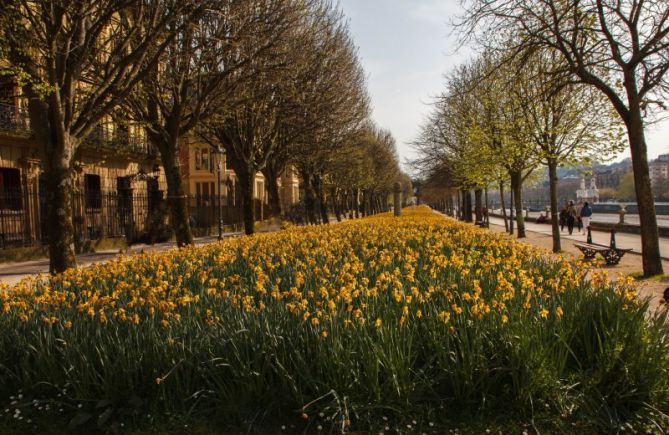 avenida de francia: foto en Donostia-San Sebastián