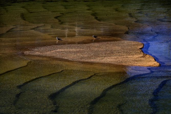 colores en el Urumea: foto en Donostia-San Sebastián