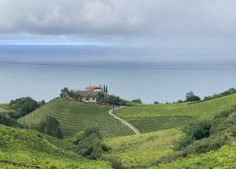 Llueve entre los viñedos