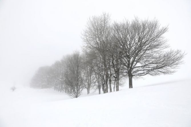 los guías: foto en Zegama