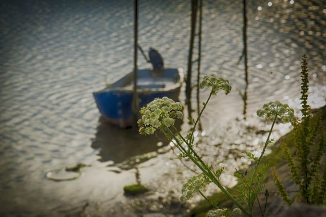 orio txalupa : foto en Orio