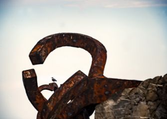 El peine y la gaviota