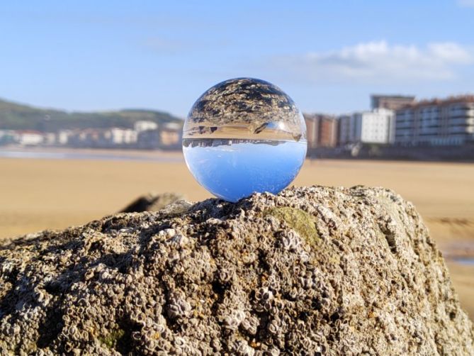 ZARAUTZEKO HONDARTZAKO ERREFLEXUA: foto en Zarautz