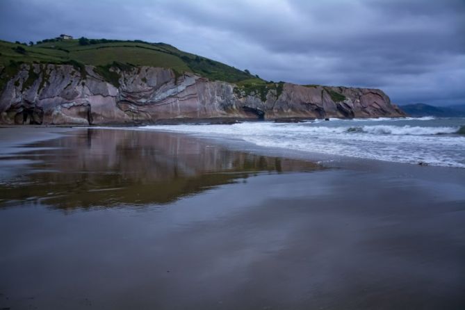 Acantalido: foto en Zumaia