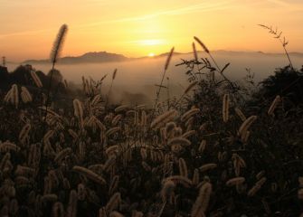 Amaneciendo en octubre