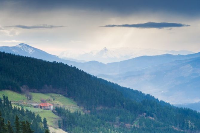 Angiozar: foto en Bergara